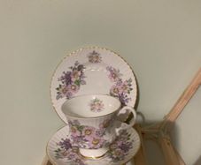 Vintage 14 Piece Royal Tara China Tea