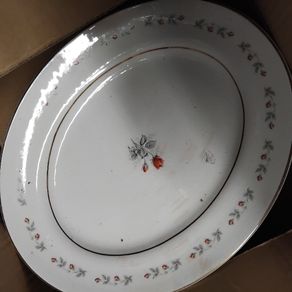 Arklow 44 Piece Dinner Set