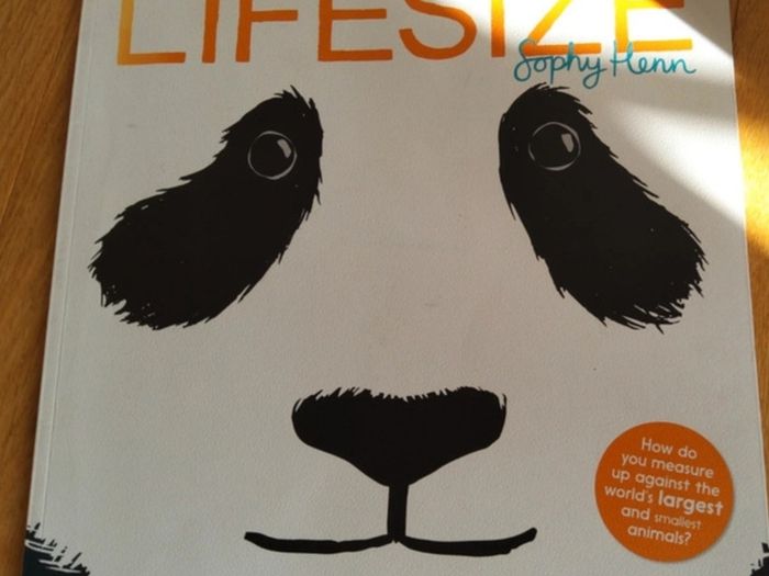 LifeSize By Sophy Henn