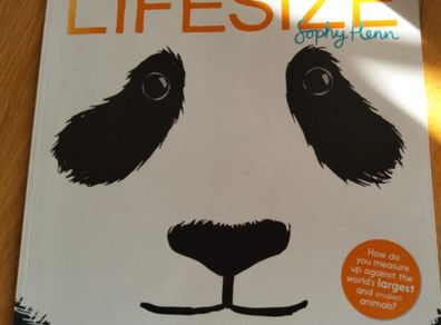LifeSize By Sophy Henn