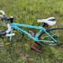 Trek Lexa Lightweight Road Bike Image 5