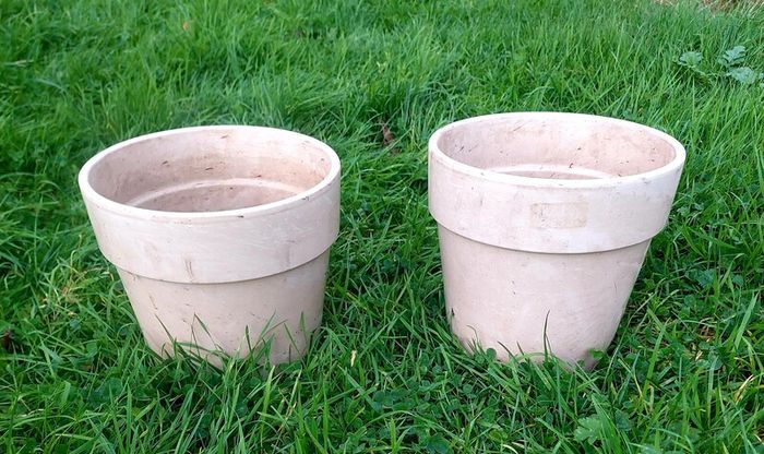 Plant Pot