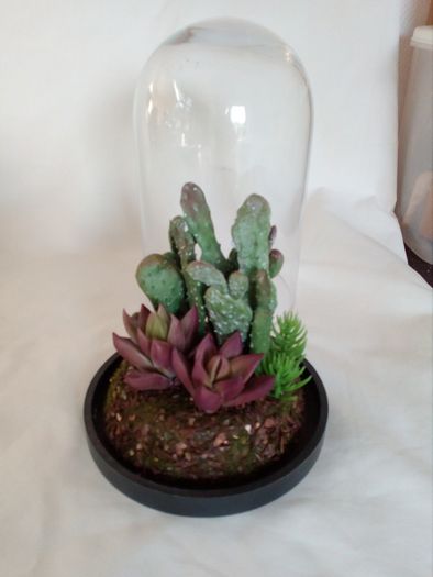 Home and garden