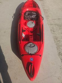 tarpon 100