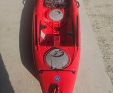 tarpon 100