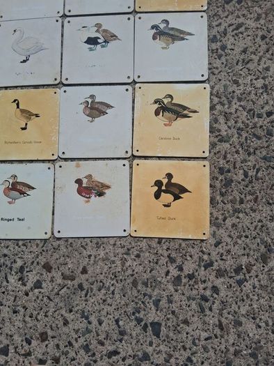 37 X Mid Century Avian Metal Display Plaques