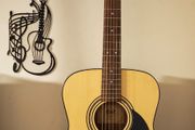 Acoustic Guitar Cort AF510 OP
