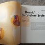 The Body Book Organs Body Systems Functions Image 3