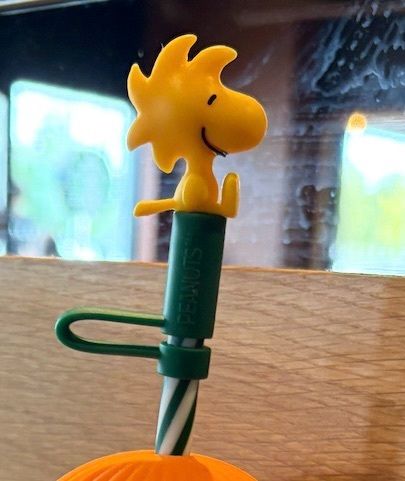 Starbucks limited edition snoopy cold cup