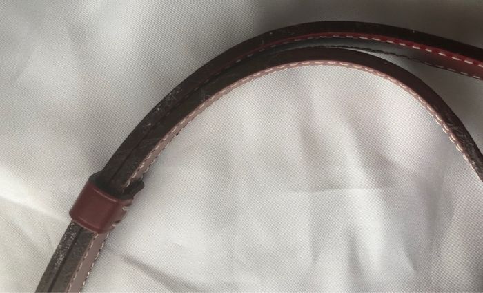 Louis Vuitton Suhali L'Essentiel PM bag