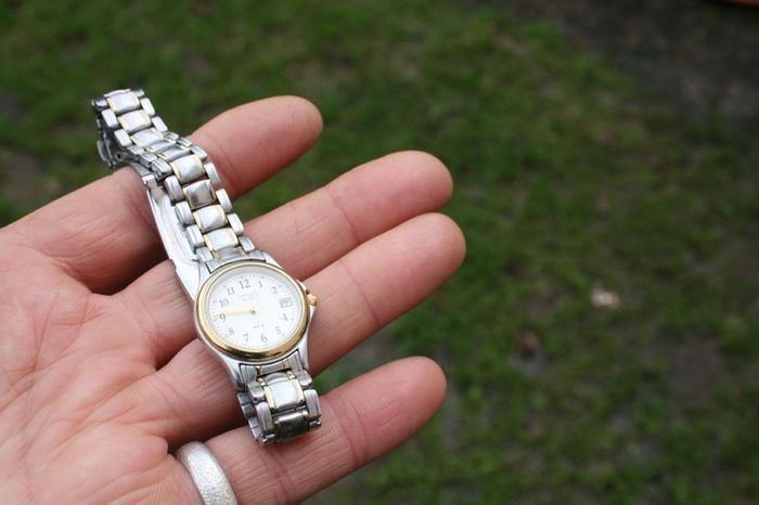 Citizen Wr 50 women's watch Quartz