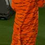 halloween   Tiger outfit Image 3