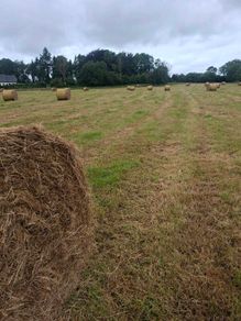 100 round bales for ssle
