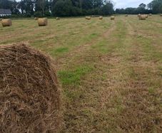 100 round bales for ssle
