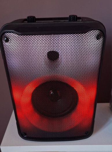 Portable Speaker