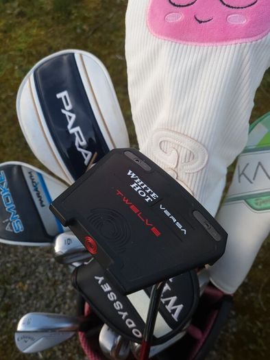 Set of Ladies Golf Clubs