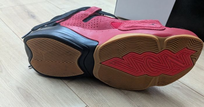 Air Jordan Zion 2 PF 'Red Suede Gum' DO9072-600 Men