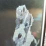 Unique 1960s Hand-Made Wool Terrier Portrait - Mid-Century Art (53x60cm) Image 4