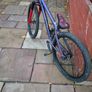 bike Image 6