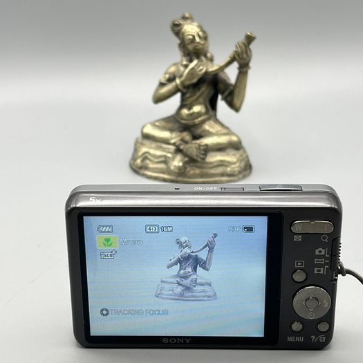 Sony Cyber-shot DSC-W580 Digital Camera 16.1MP with Charger and Battery