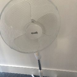Standing Pedestal Fan