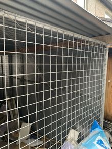 Dog Cage