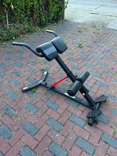 Hyperextension Roman Chair with Dip Station