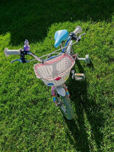 Raleigh kids bike