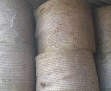 second cut hay