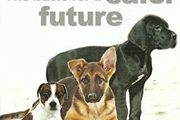 The Puppy: the basis for a safer future DVD BRAND NEW &amp; SEALED