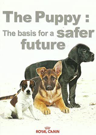 The Puppy: the basis for a safer future DVD BRAND NEW & SEALED