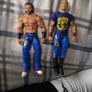 wwe figure Image 2