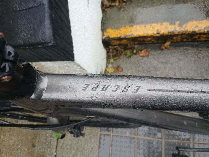 Adults Bike