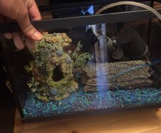 fish tank