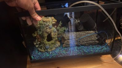 fish tank