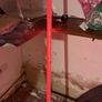 Euro light bars 25 each 7 for 150 Image 2