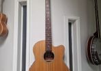 Vintage VCB430N Acoustic Bass