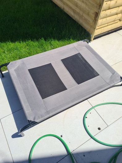Raised dog bed