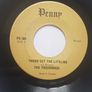 The Tradewinds (Reggae 7") - You Can't Get Image 2