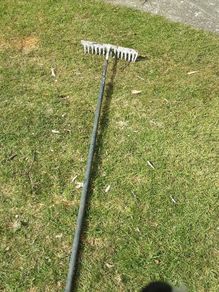 Concrete rake