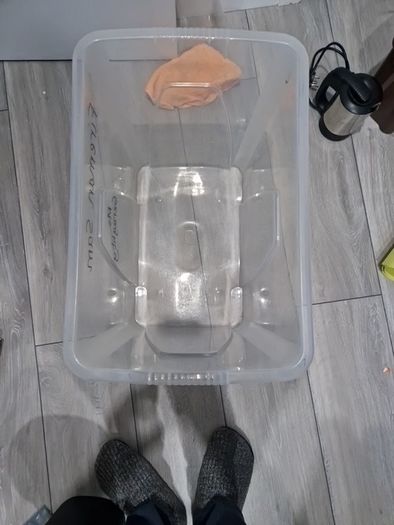 storage box