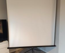 projector screen with stand