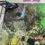 fish tank with heater Image 3