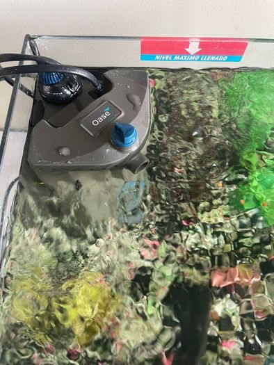 fish tank with heater