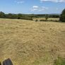 Hay Image 2