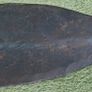 Antique Mongo African Tribe Hand Forge Iron Swords Knifes Daggers Image 5
