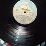 Air Supply LP - The One That You Love Image 3