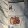 1969 Gandhi Stamp  - First Day Cover ' Centenary of birth Image 5