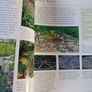 The Garden Decorating Book /Tessa Evelegh/ 1999 Image 6