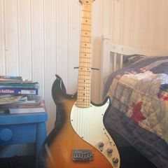 Line 6 variax 600